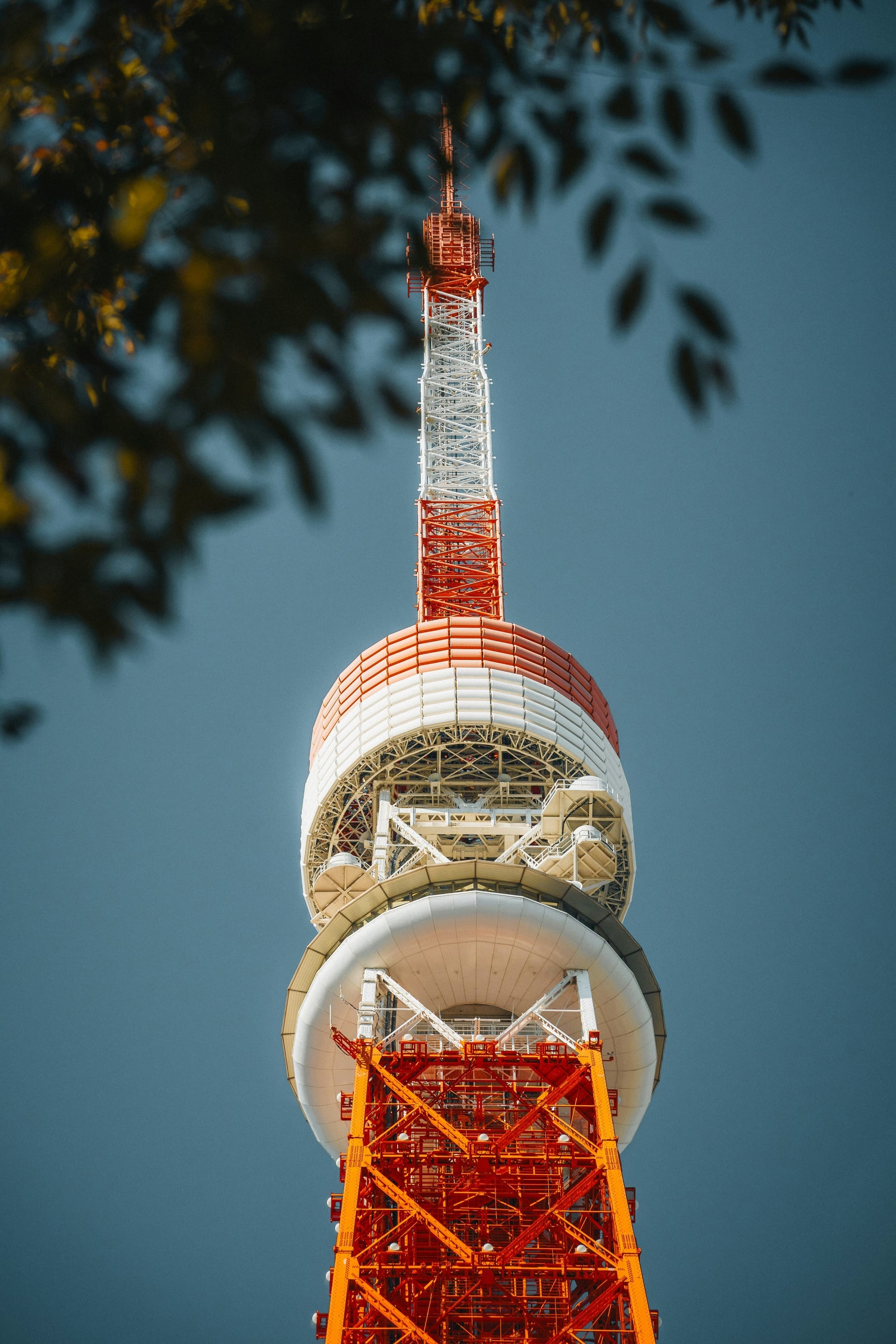 Looking up at Tokyo Tower's observation deck from below through green tree branches